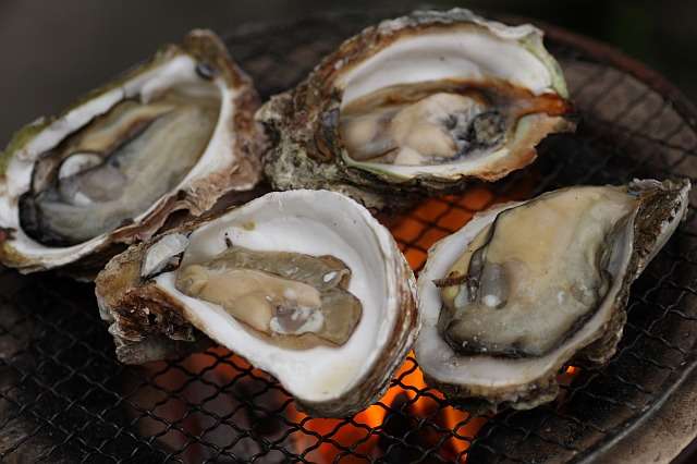 冬に食べたくなる料理は何ですか？