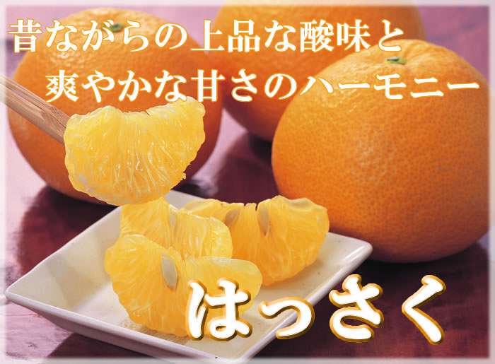 冬に食べたくなる料理は何ですか？