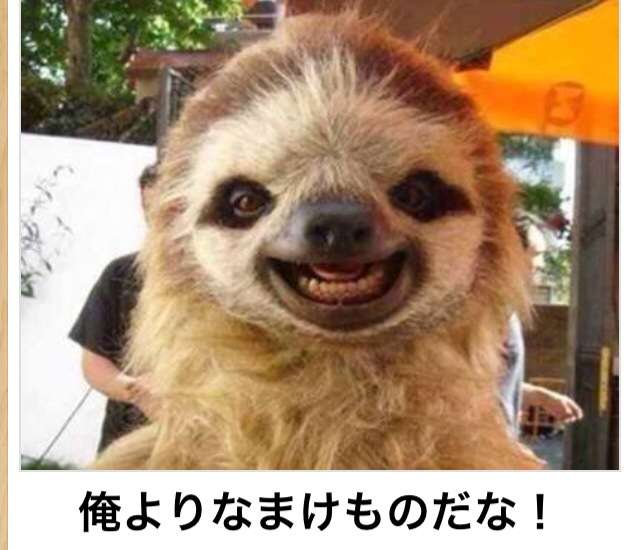 LINEで使える画像ください