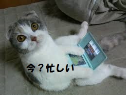 LINEで使える画像ください