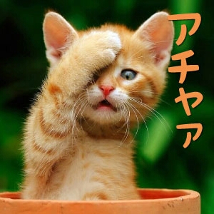 LINEで使える画像ください