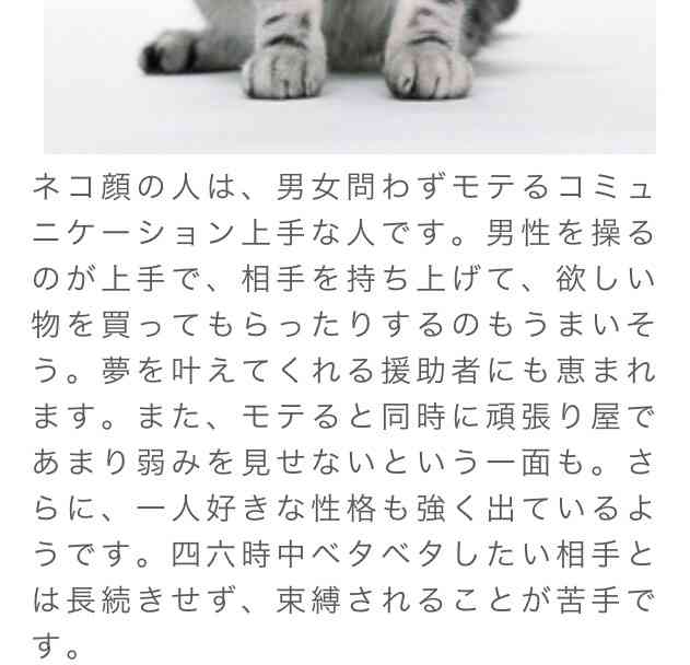 ネコ顔女子はモテまくり?!どうぶつ顔で診断