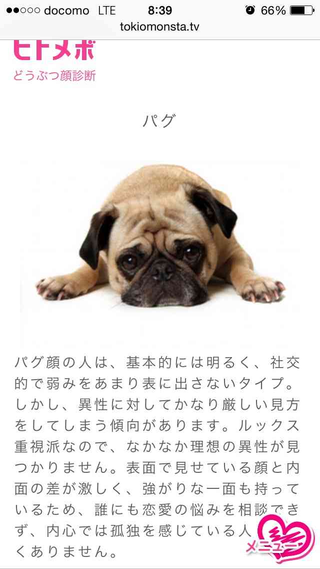 ネコ顔女子はモテまくり?!どうぶつ顔で診断