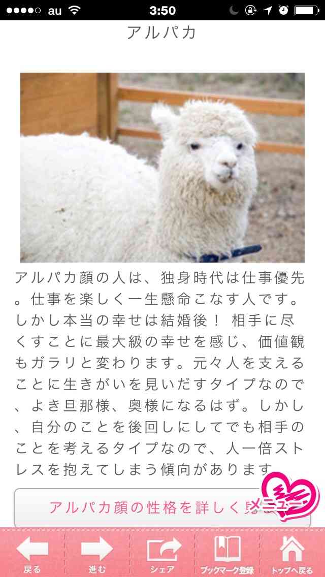 ネコ顔女子はモテまくり?!どうぶつ顔で診断