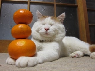 ほっこり鍋パーティー（楽しくお話ししませんか？）
