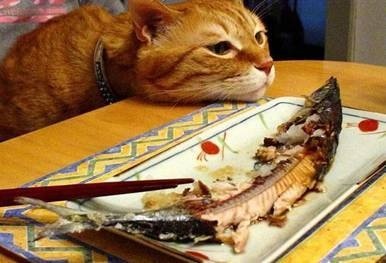 自分の近況を物語る画像を貼って、一言どうぞ。