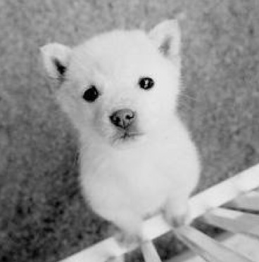 自分の近況を物語る画像を貼って、一言どうぞ。