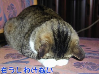 懺悔の部屋