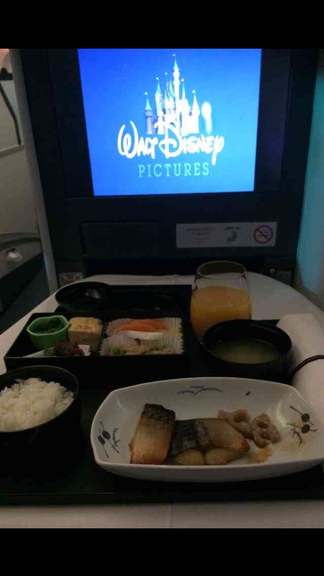 世界の機内食:D