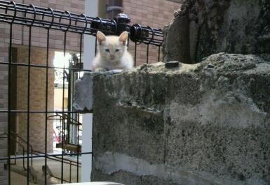 愛されてないと感じて育った人