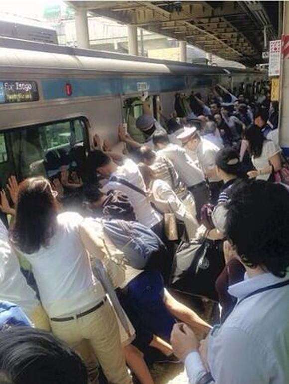今までに見た衝撃の場面