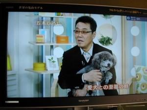あなたか今まで生きてきたなかで1番聞いていると思う曲は？