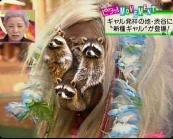 あなたか今まで生きてきたなかで1番聞いていると思う曲は？