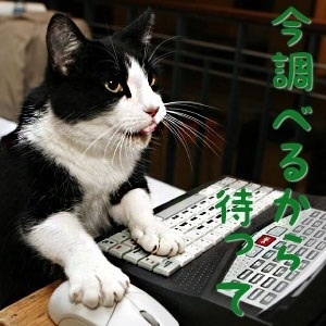 お酒好きだけど、禁酒した事がある方！