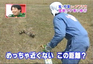 すごいと思った芸能人の写真