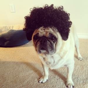 黒髪が似合う芸能人の画像を集めるトピ