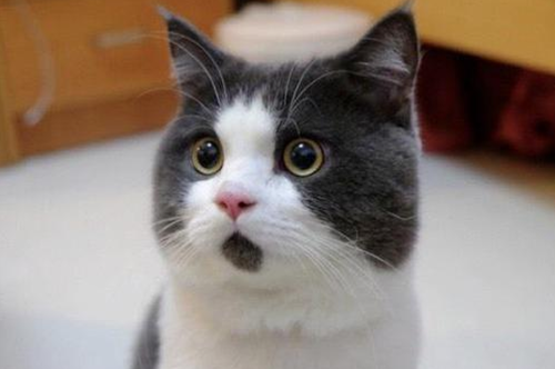 父親と旦那さんは似てますか?