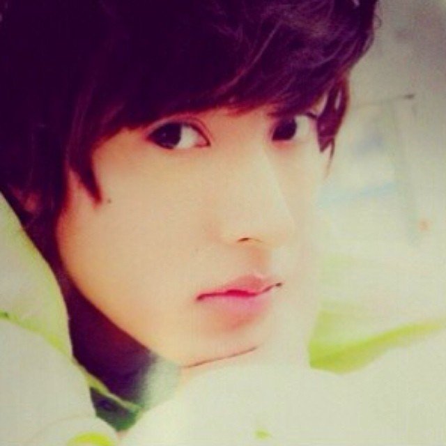 もっとテレビで見たい芸能人