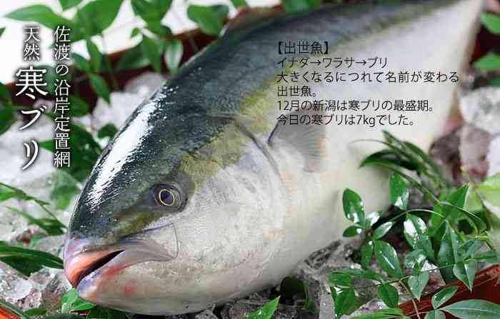 寒がりの人いますか？
