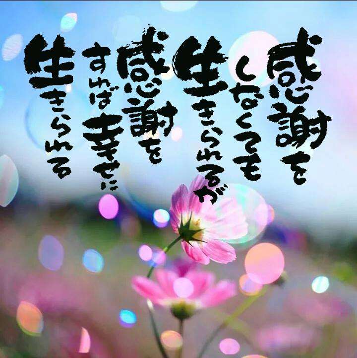 幸せを呼ぶ名言語りましょう | ガールズちゃんねる - Girls Channel