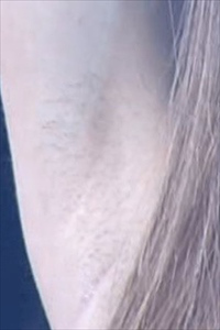 板野友美の