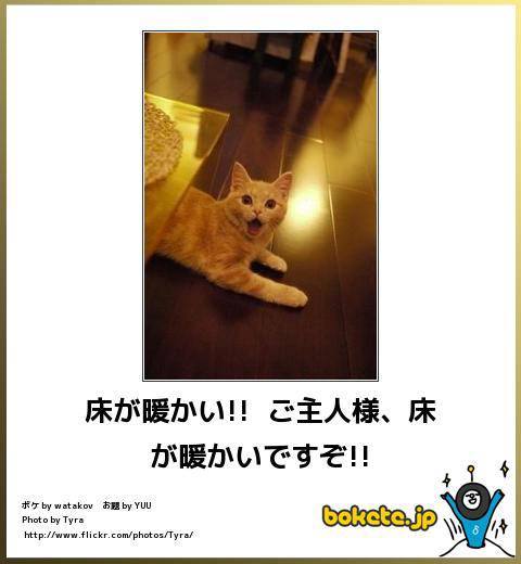 ガルちゃんで画像とサイトを張り付ける練習トピpart5