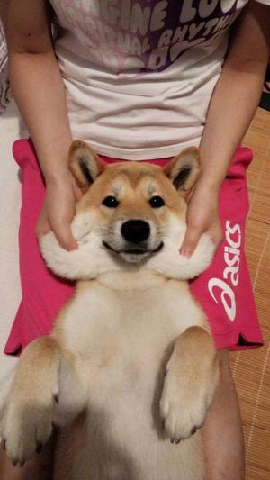 ガルちゃんで画像とサイトを張り付ける練習トピpart5