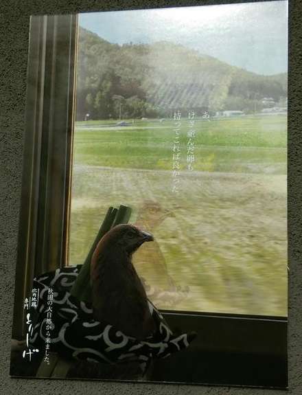 ガルちゃんで画像とサイトを張り付ける練習トピpart5