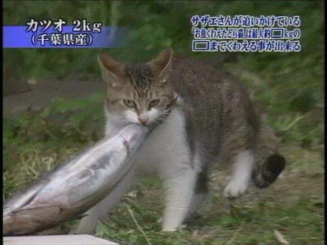 同窓会での出会い