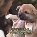 改めて聴いて感動した日本の曲。