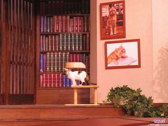 好きなニュース番組。