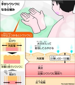 長風呂が好きな方