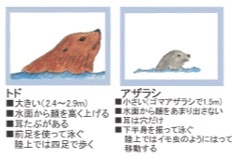 偶然うまくいった事!
