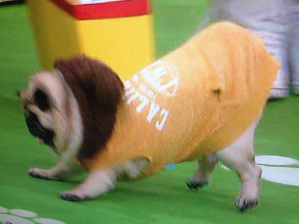 ヒマな人が、なんとなく来るトピ