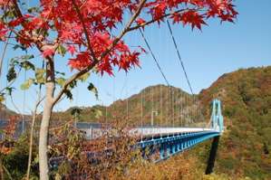 今日は茨城県民の日（茨城について語りましょう）