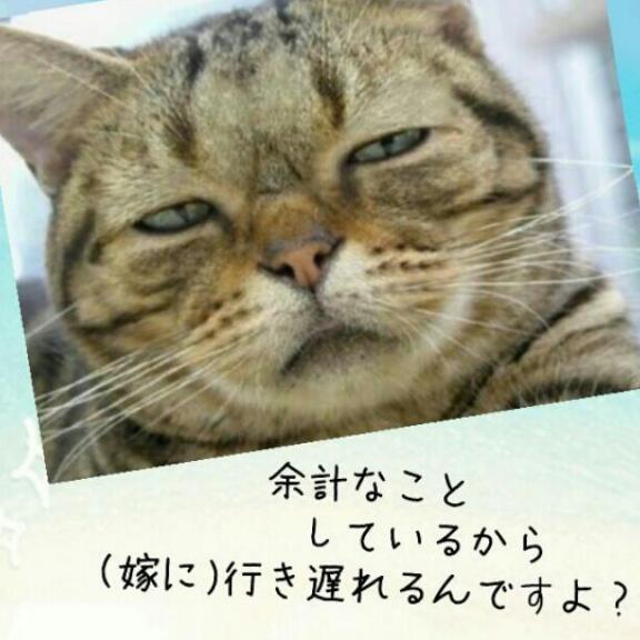 なんともいえない表情の画像をください