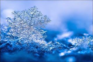美しい雪の結晶の画像を下さい！