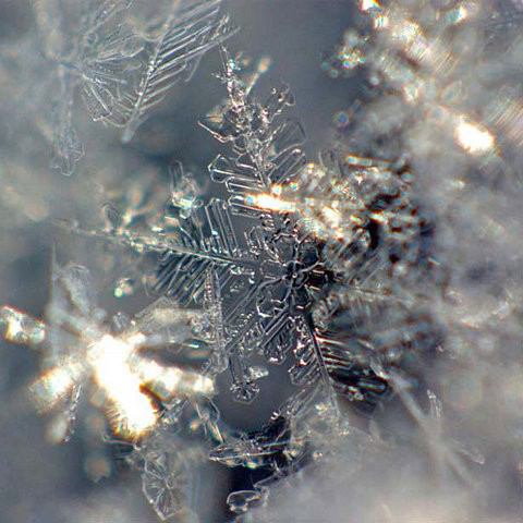 美しい雪の結晶の画像を下さい！