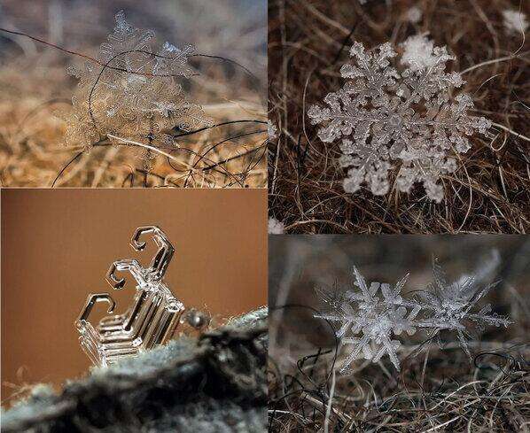 美しい雪の結晶の画像を下さい！