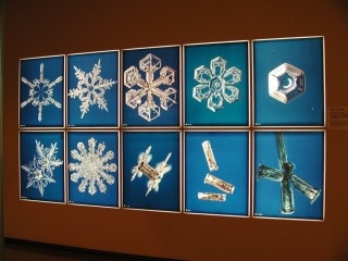 美しい雪の結晶の画像を下さい！