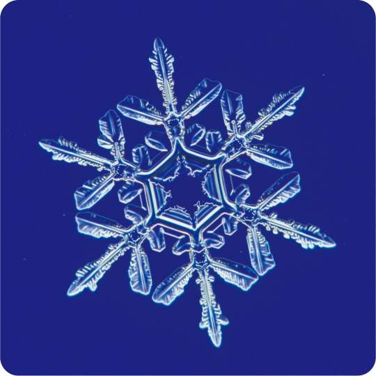 美しい雪の結晶の画像を下さい！