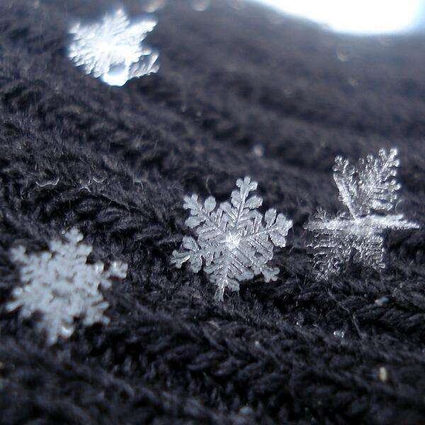 美しい雪の結晶の画像を下さい！