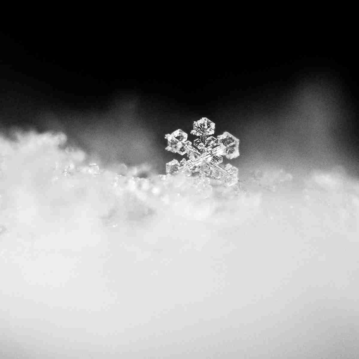 美しい雪の結晶の画像を下さい！