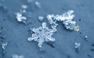 美しい雪の結晶の画像を下さい！
