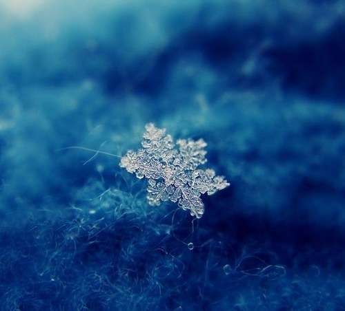 美しい雪の結晶の画像を下さい！