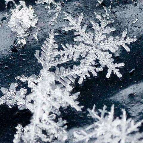 美しい雪の結晶の画像を下さい！