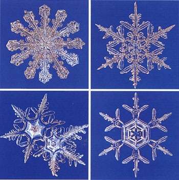 美しい雪の結晶の画像を下さい！
