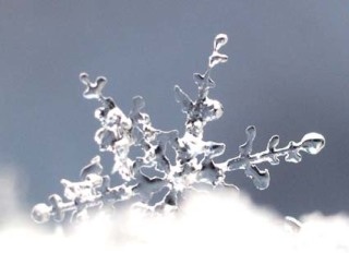 美しい雪の結晶の画像を下さい！