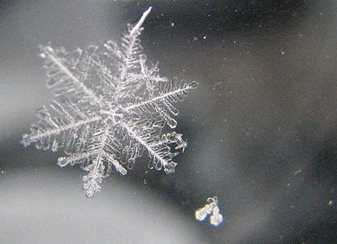 美しい雪の結晶の画像を下さい！