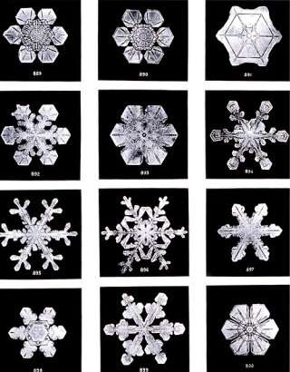 美しい雪の結晶の画像を下さい！